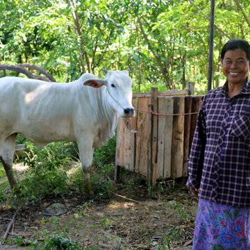 Cambodia