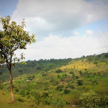 Ethiopia - Chuko