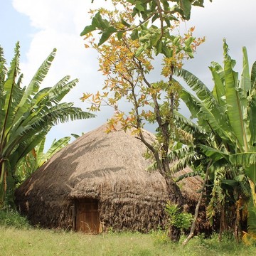 Ethiopia - Chuko